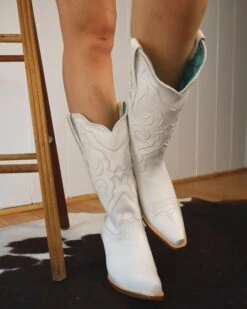 Johnny Corral Shop -Johnny Corral Shop 102 31a44a11 f03e 4b3c 8cf4 f0a8b6629a10