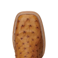 R. WATSON MEN'S OSTRICH ANTIQUED SADDLE BRUCIAT BOOT -Johnny Corral Shop RRRRRRR