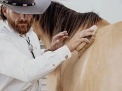 VOGT HORSEMAN BOLO -Johnny Corral Shop vogt silversmiths bolos the horseman bolo 29517668843716 700x a977ddf8 bcd1 4796 8e38 0fd2b1f31ae3